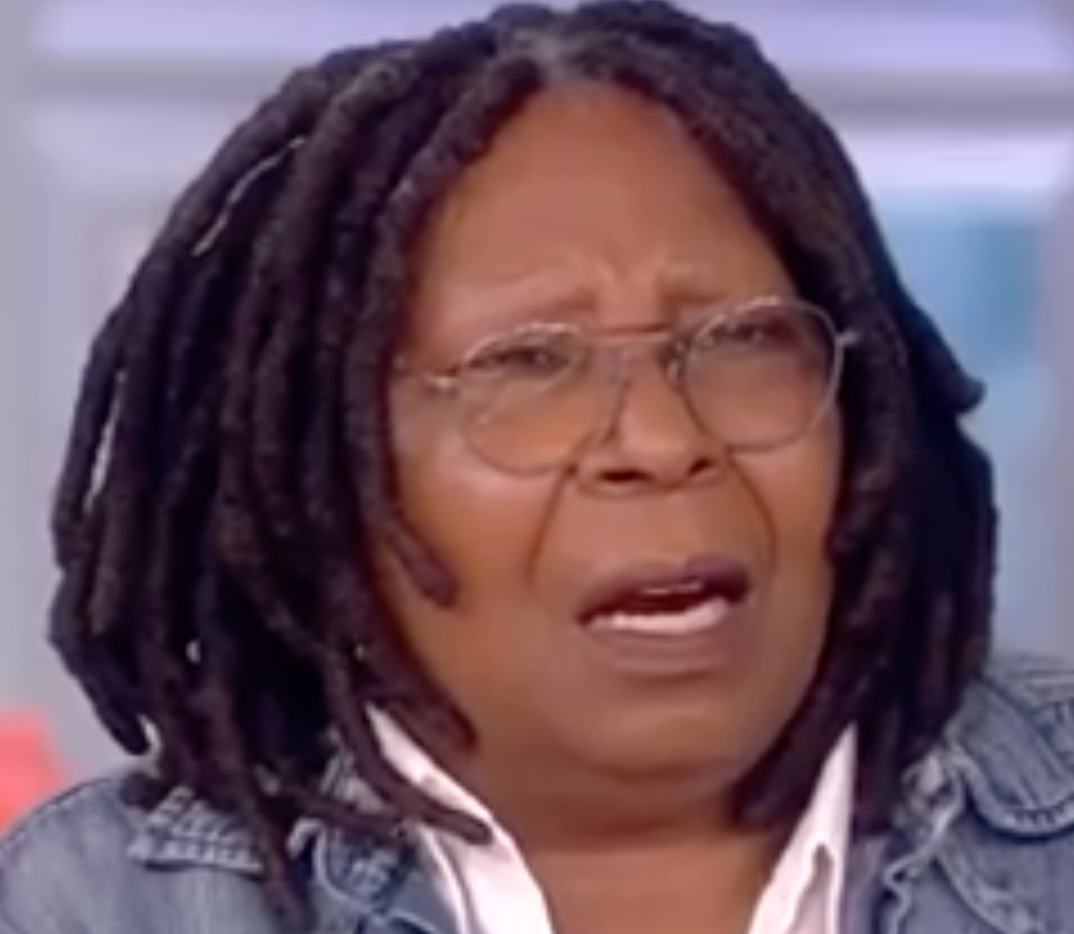 The View: Dumbest Guest Host Ever